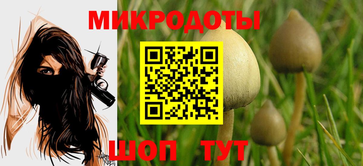 Галлюциногенные грибы прущие грибы Конаково
